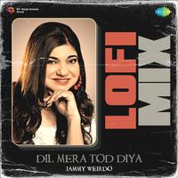 Dil Mera Tod Diya Lofi Mix