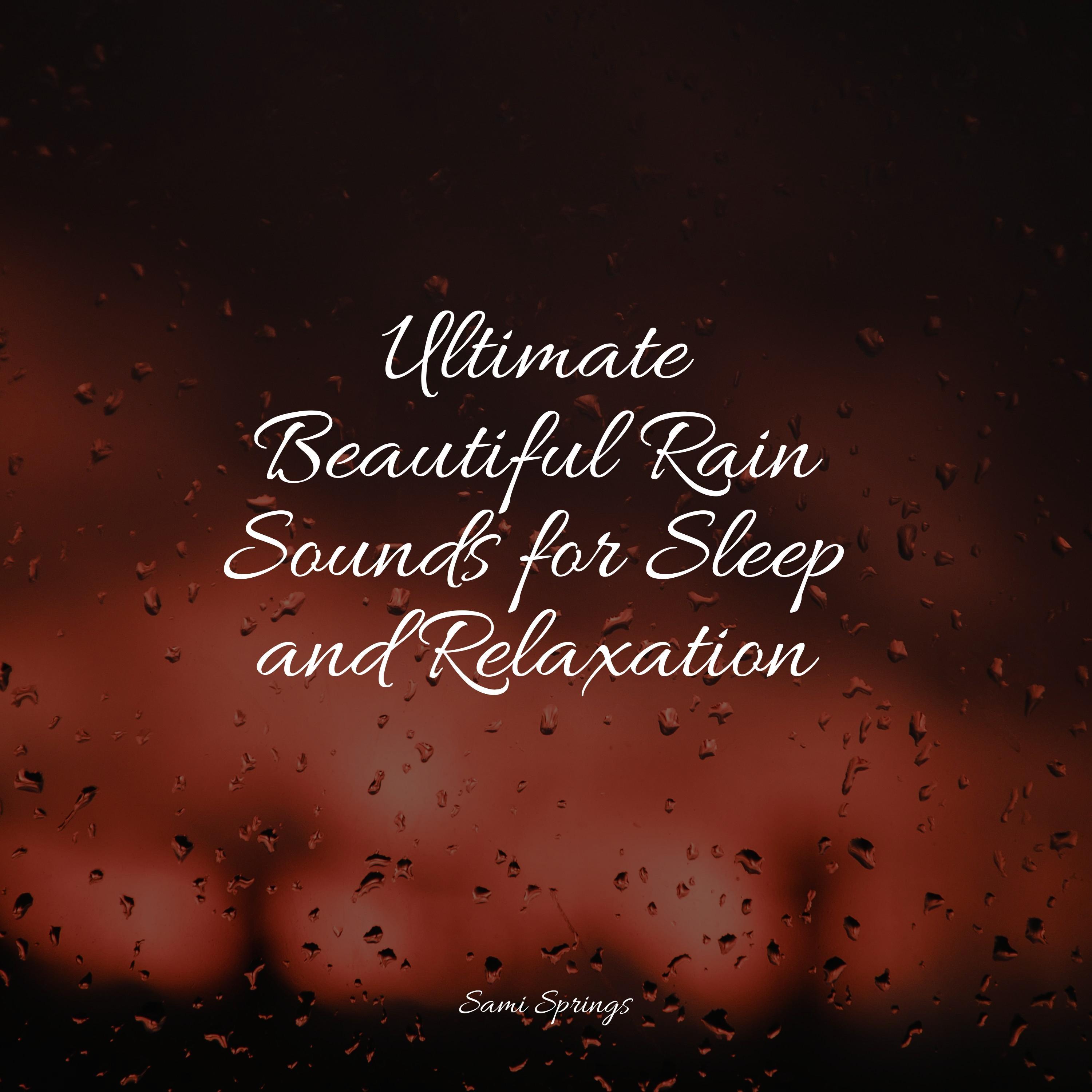 Forest, Night, Frogs