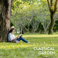 CLASSICAL GARDEN