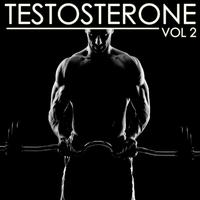 Testosterone, Vol. 2