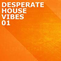 Desperate House Vibes, Vol. 1