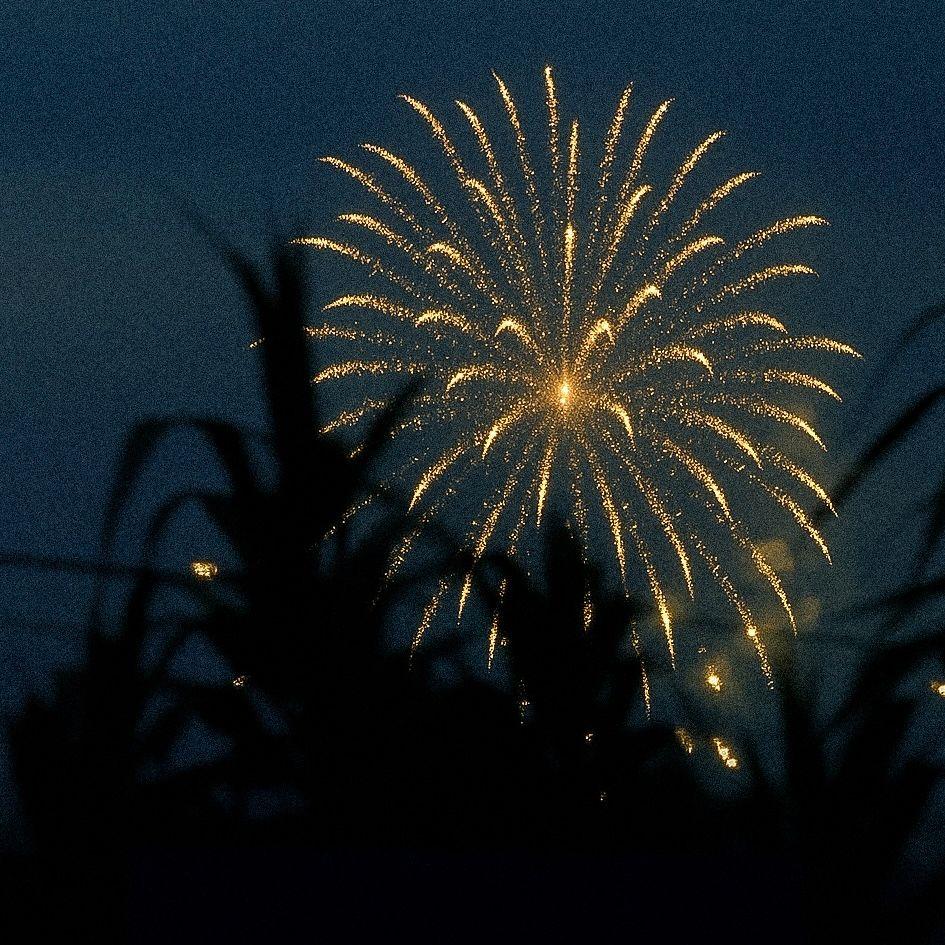 夏夜、烟火和你