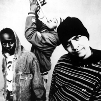 MadKap