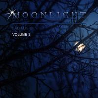 Moonlight Sad Music, Vol. 2