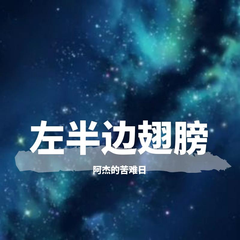 左半边翅膀封面