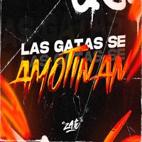 SI LA GATA SE AMOTINAN