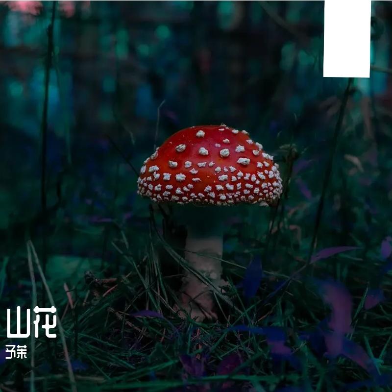 心欲止水封面