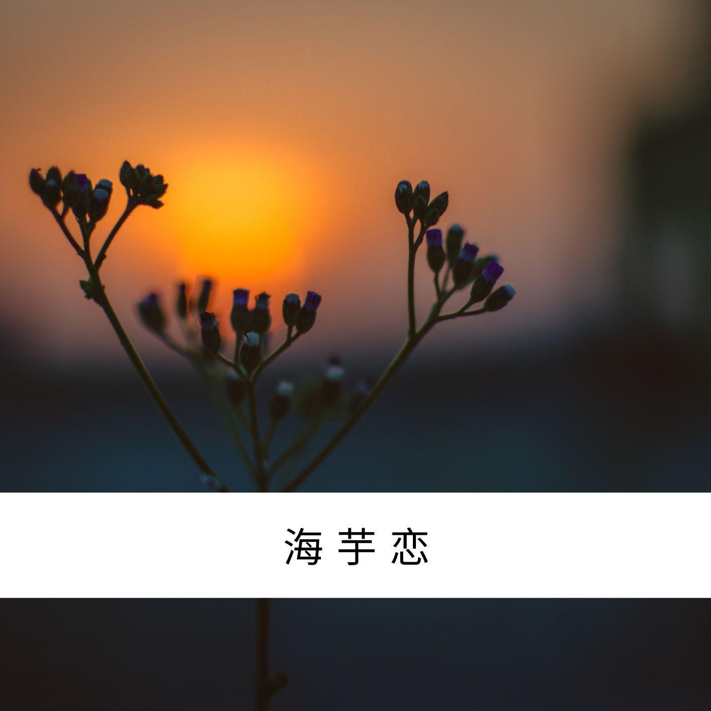 海芋恋小考