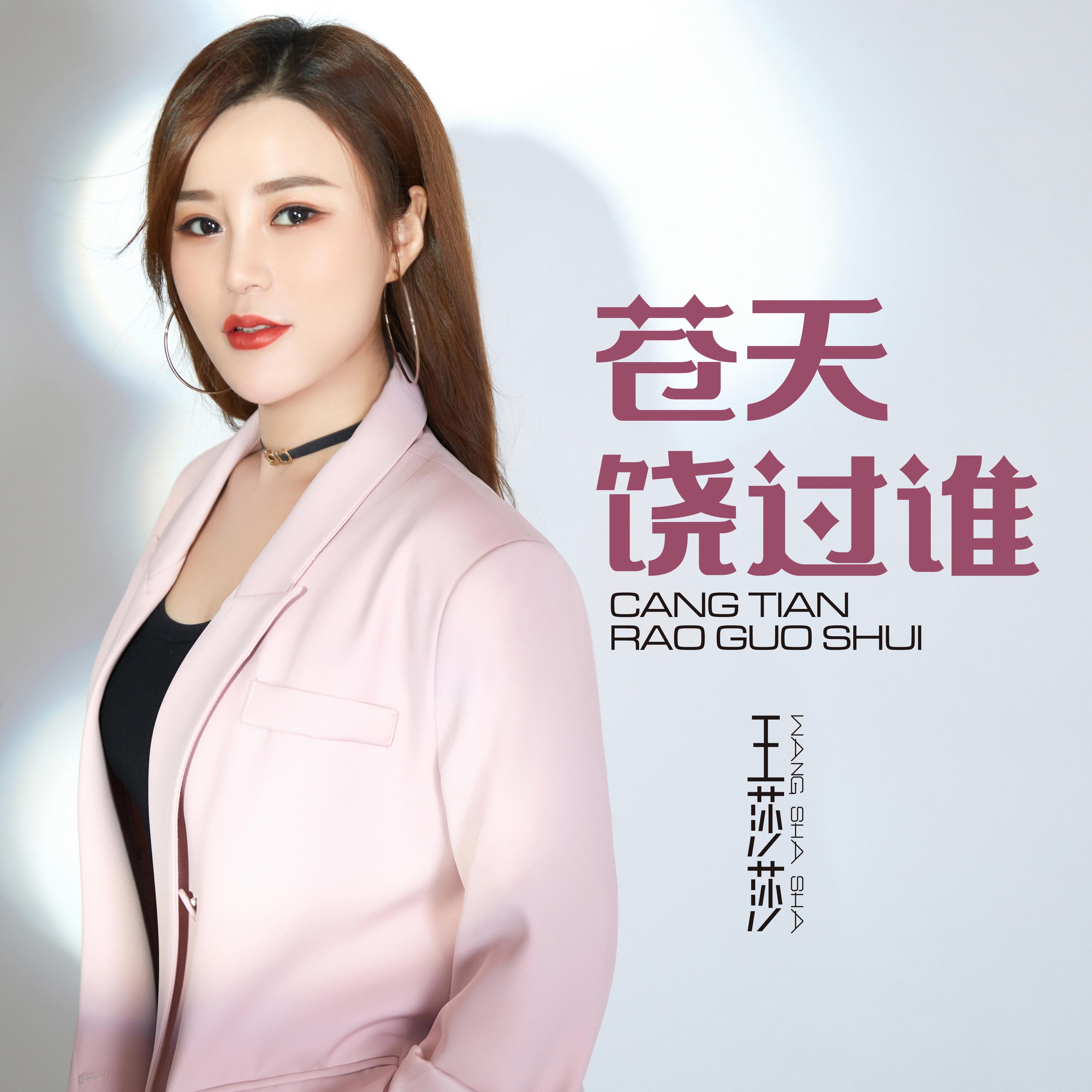 苍天饶过谁 (DJ何鹏版伴奏)封面