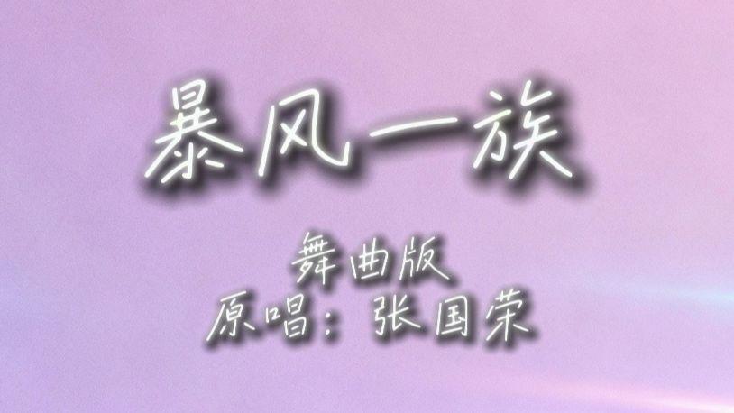 暴风一族（动感舞曲版DJ版）