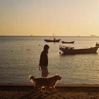 大碗小面资料,大碗小面最新歌曲,大碗小面MV视频,大碗小面音乐专辑,大碗小面好听的歌