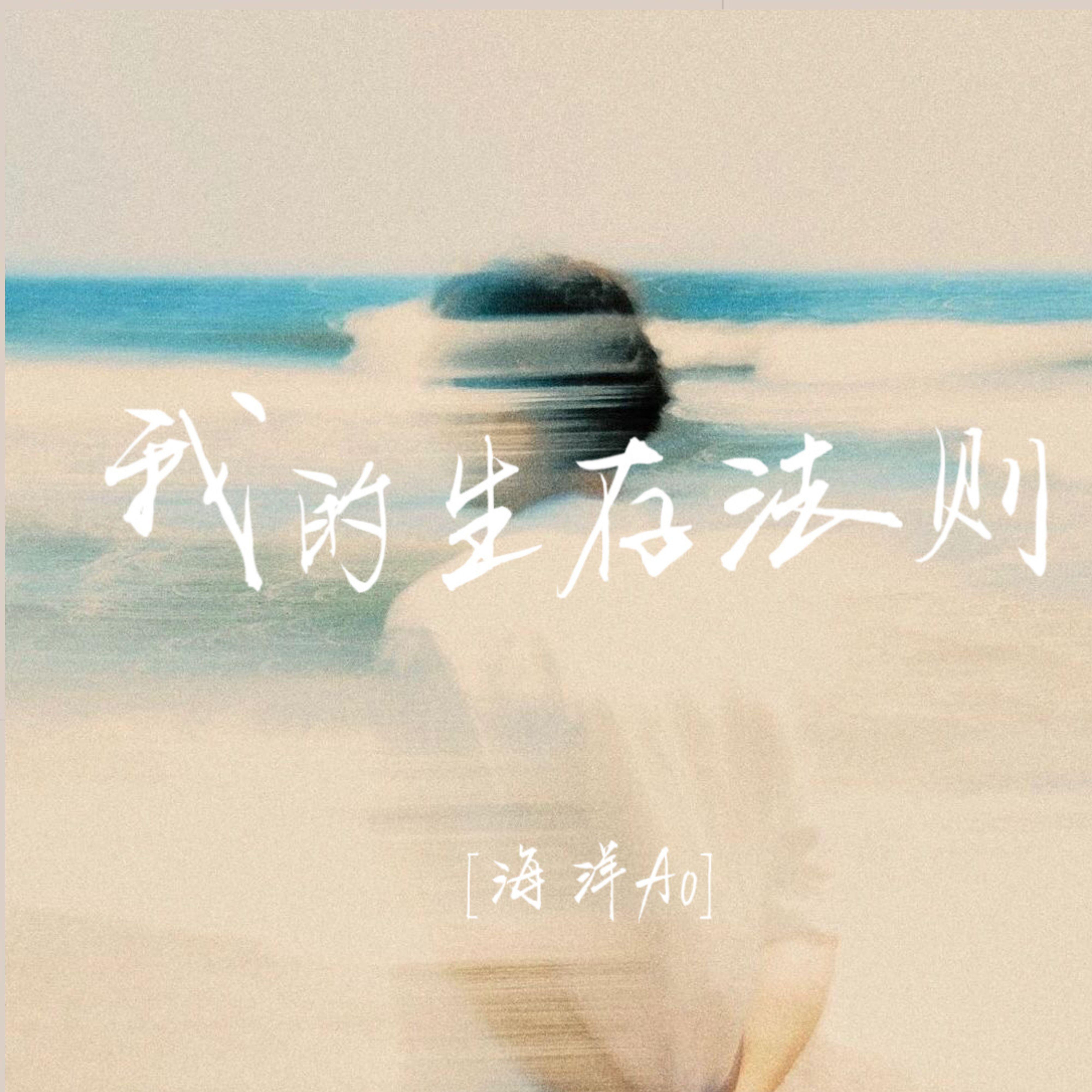 我的生存法则 (说唱版)封面