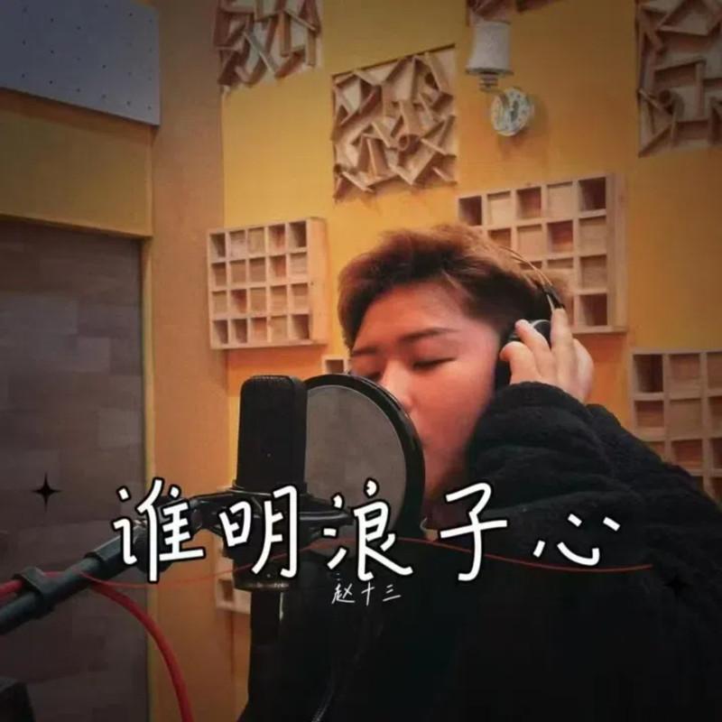 谁明浪子心 (DJ版伴奏)封面