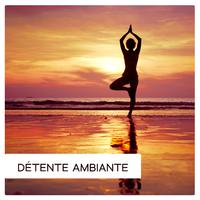 Détente ambiante (Exercices physiques et mentaux visant à promouvoir la santé et le bien-être)