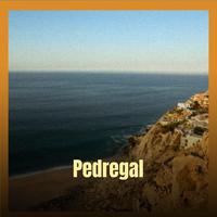 Pedregal