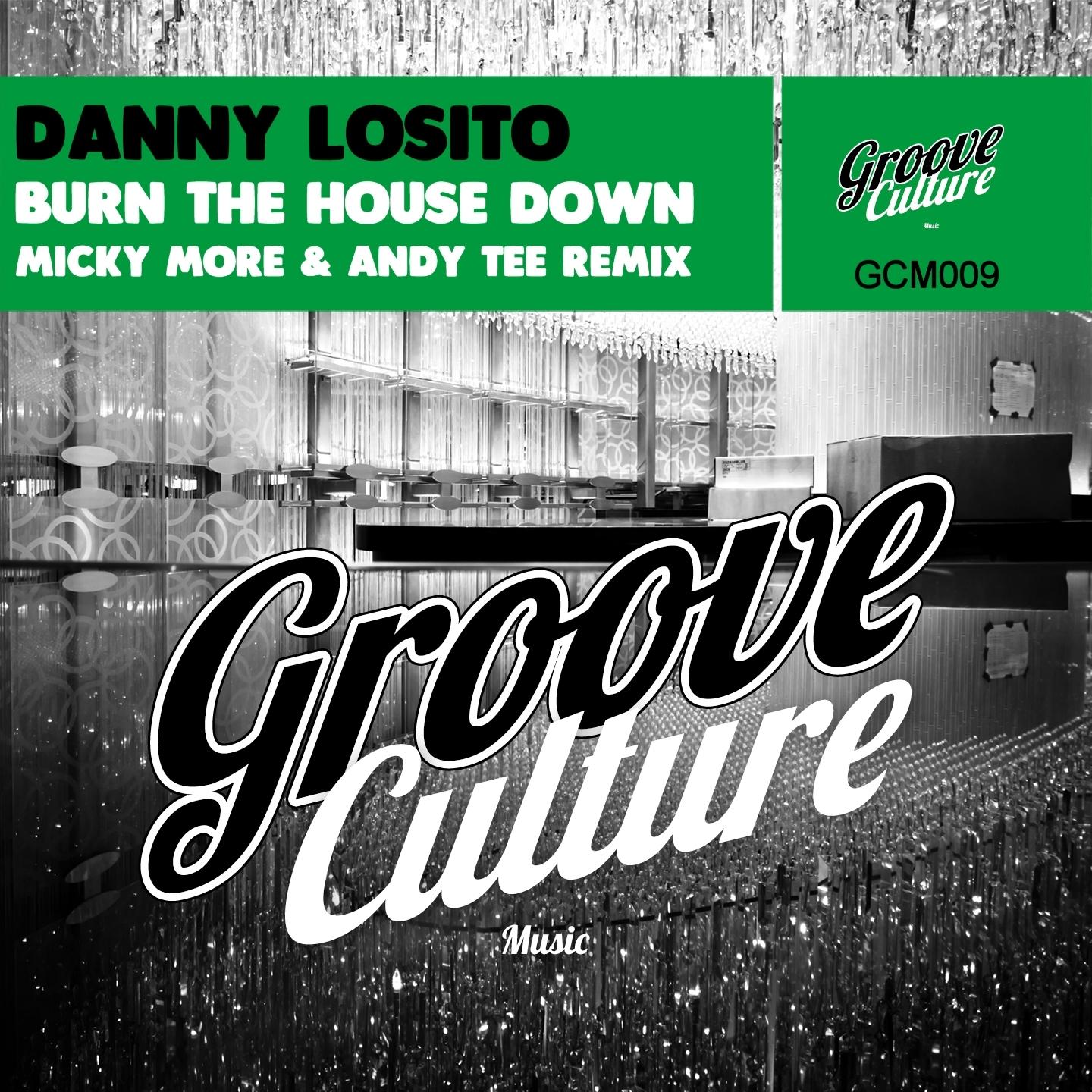 Burn the House Down (Micky More & Andy Tee Mix) Danny Losito 单曲 网易云音乐