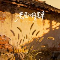 刘雨枫 - 院子的狗尾草 (思乡版)