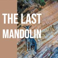 The Last Mandolin