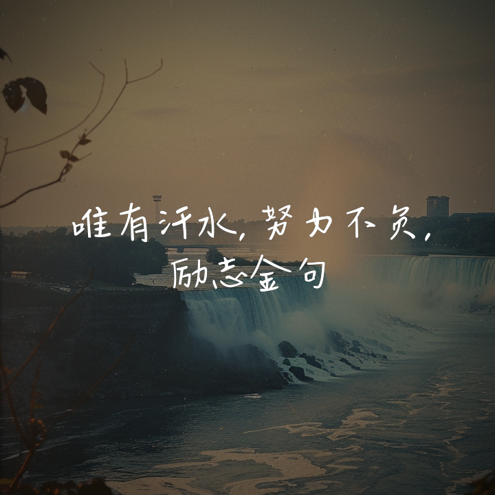春丛认取双栖蝶封面
