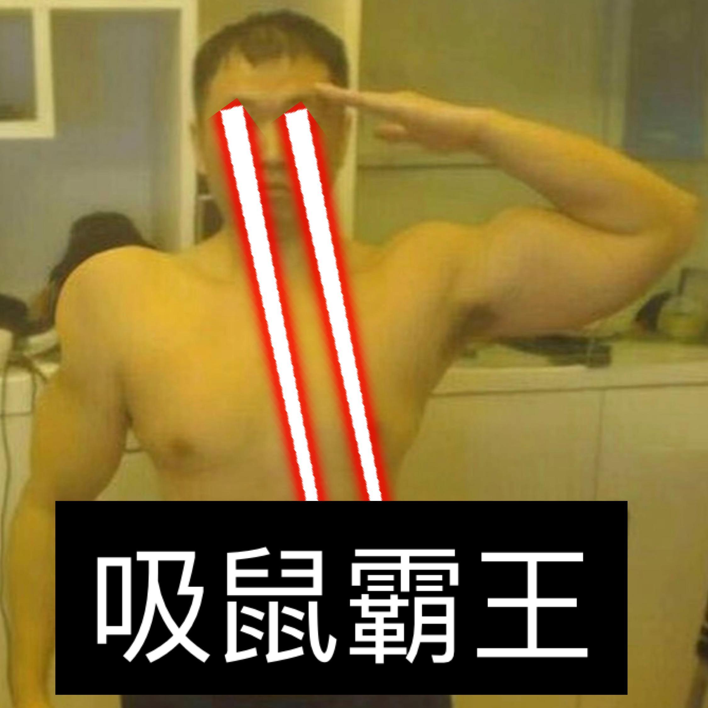 吸鼠霸王