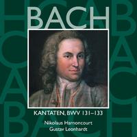 Bach: Kantaten, BWV 131 - 133