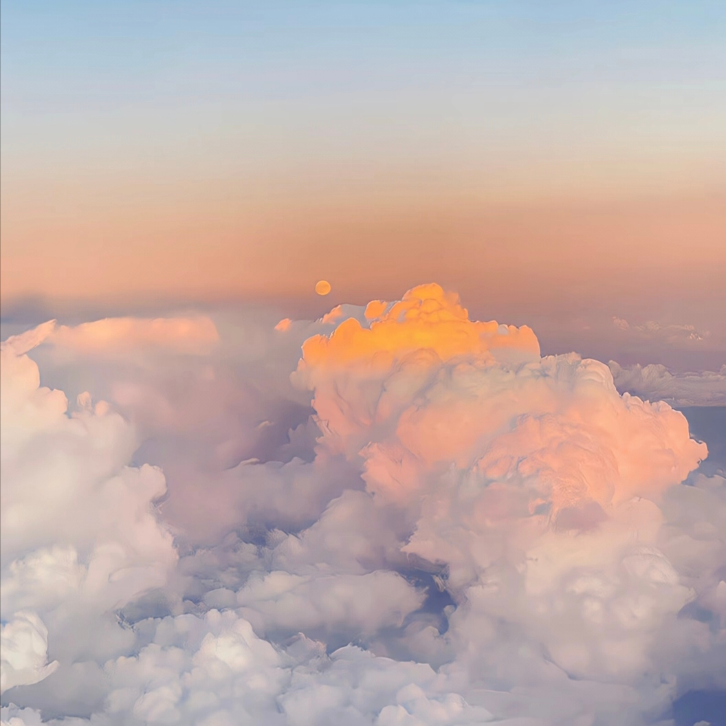 Sunshinegarden (Radio Edit)