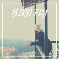 Bird Fly