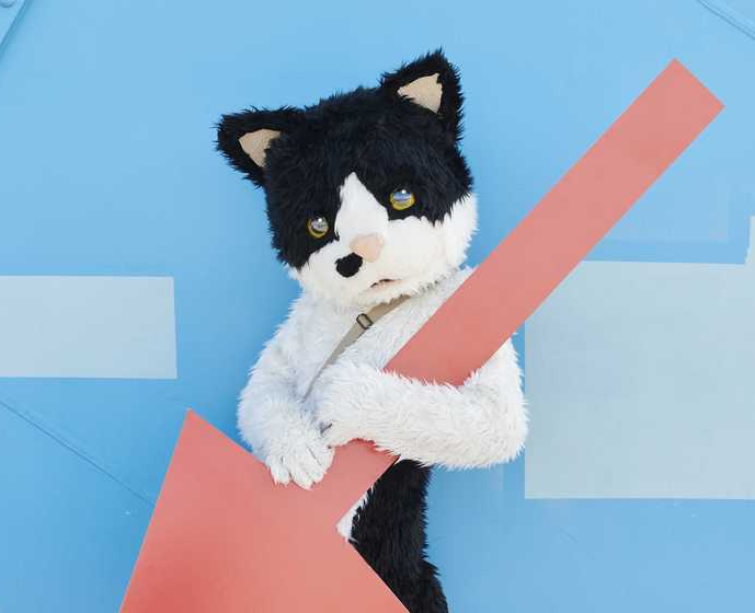 むぎ(猫)
