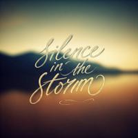 Silence in the Storm (Instrumental)