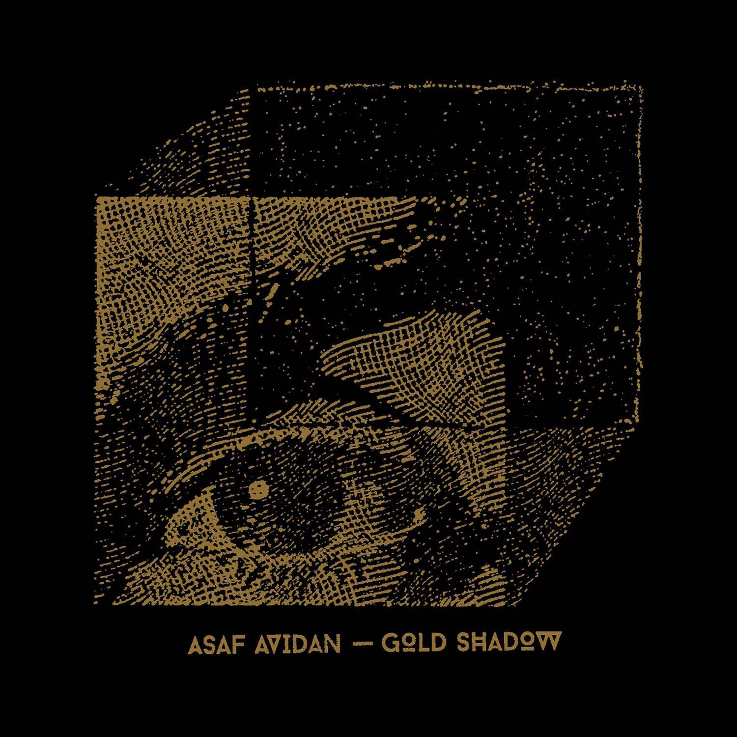 My Tunnels Are Long and Dark These Days_Asaf Avidan_Gold Shadow | 在线播放_My Tunnels Are Long and Dark These Days歌词_My Tunnels Are Long and Dark These Days下载 | 网易云音乐