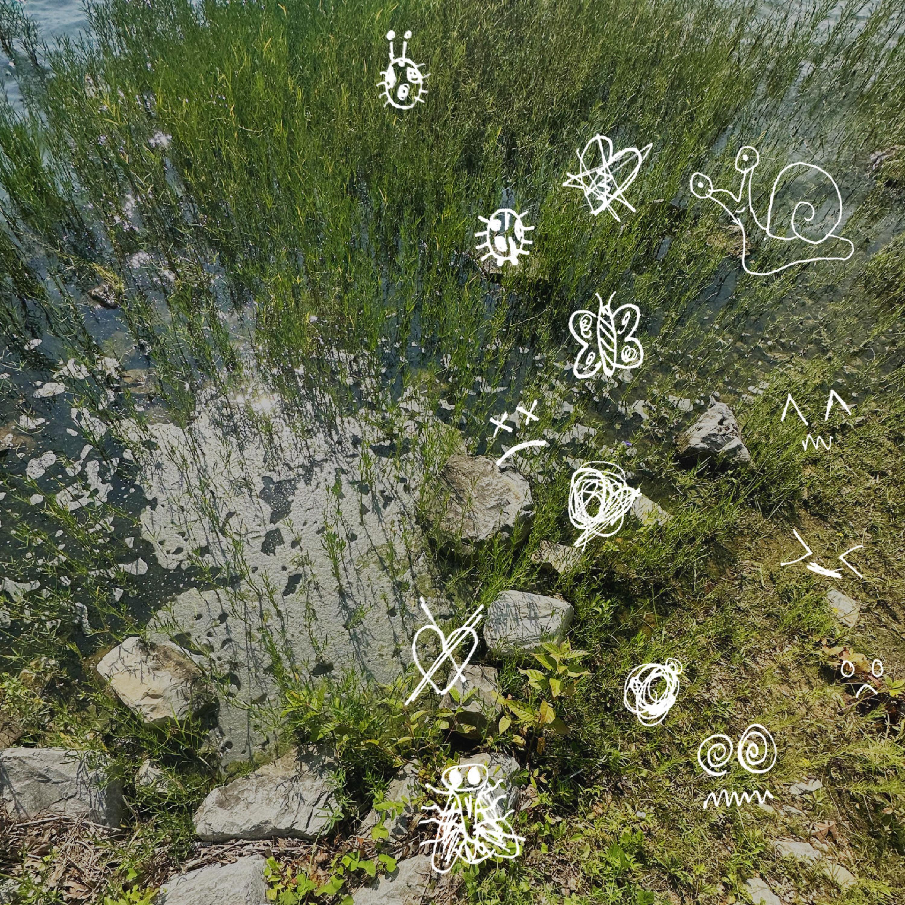 lmk (feat. Fantasy Camp)