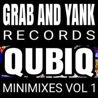 QUBIQ Minimixes, Vol. 1