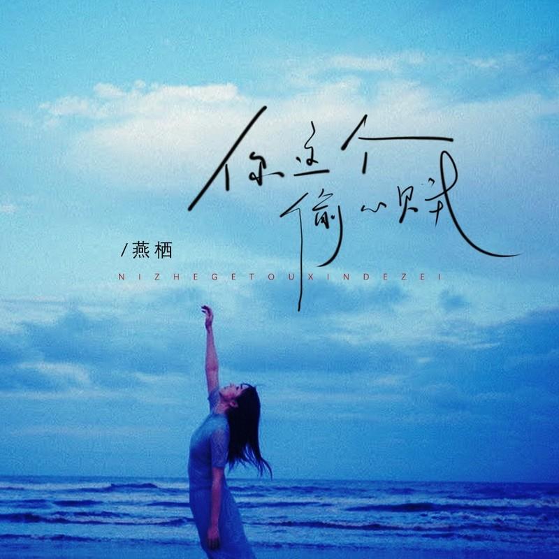 你这个偷心贼 (伴奏)封面