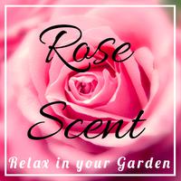 Relax in your Garden : Rose Scent