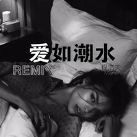 爱如潮水REMIX