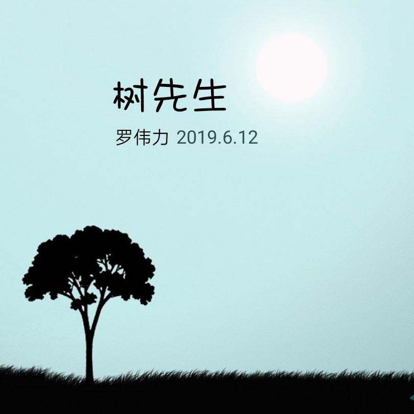 树先生封面