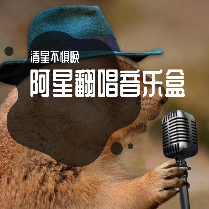旋木（cover 王菲） - 云野三弦封面