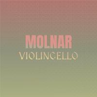 Molnar Violincello