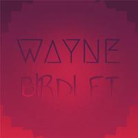 Wayne Birdlet