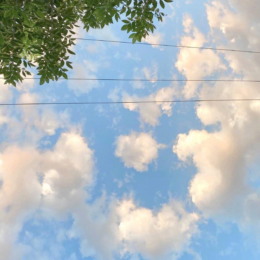 七夏 (治愈八音盒）