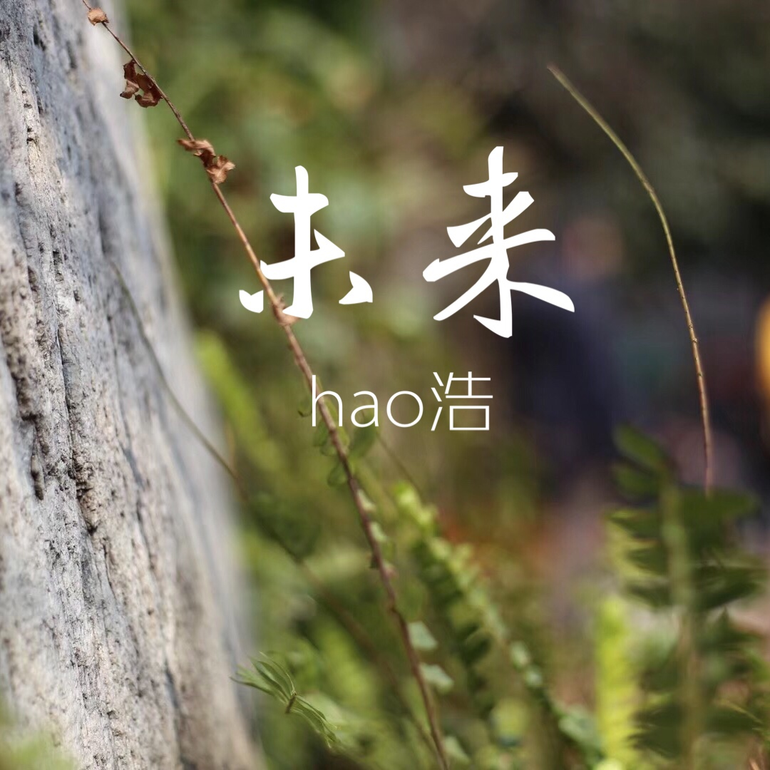 我要的自由 - hao浩封面