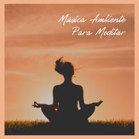 Música Ambiente para Meditar