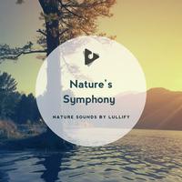 Nature’s Symphony