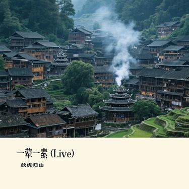 一荤一素 (Live)(Cover 毛不易)封面