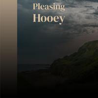 Pleasing Hooey