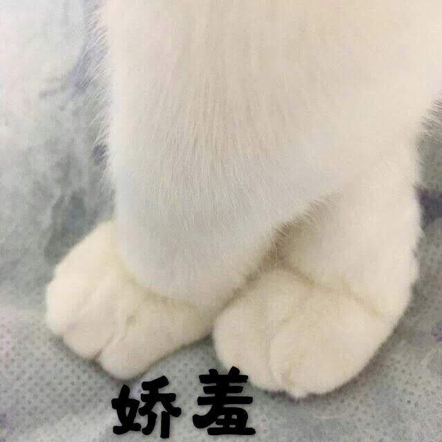 滴滴滴滴（翻自 周传雄）封面