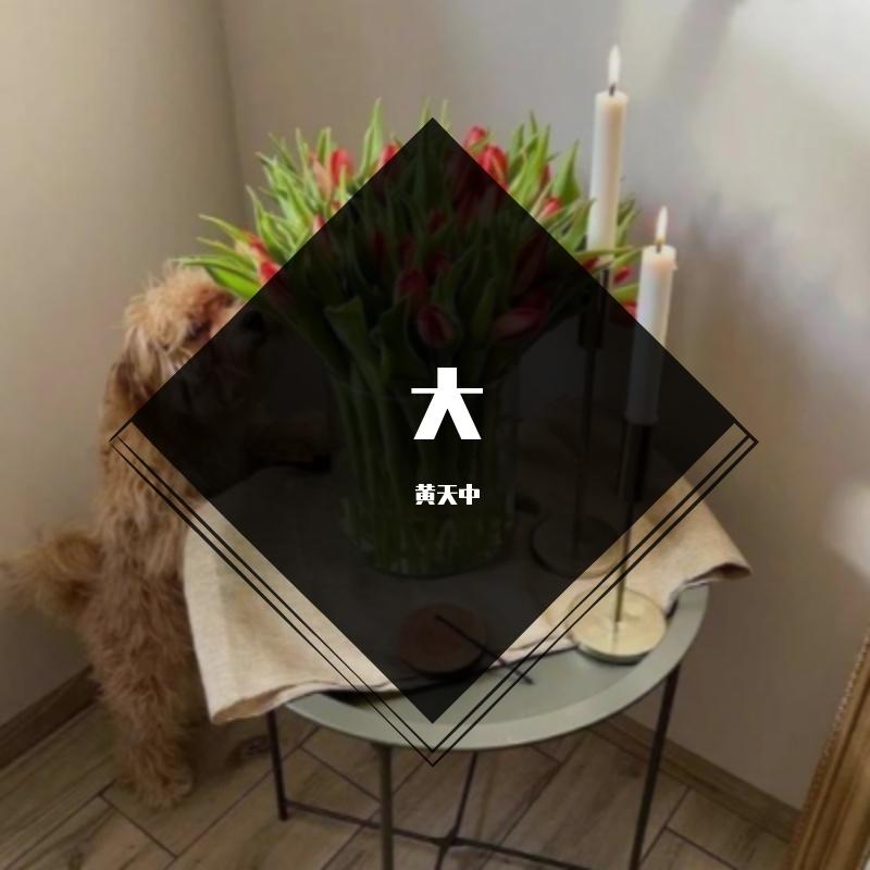 不会分离 - 黄天中封面