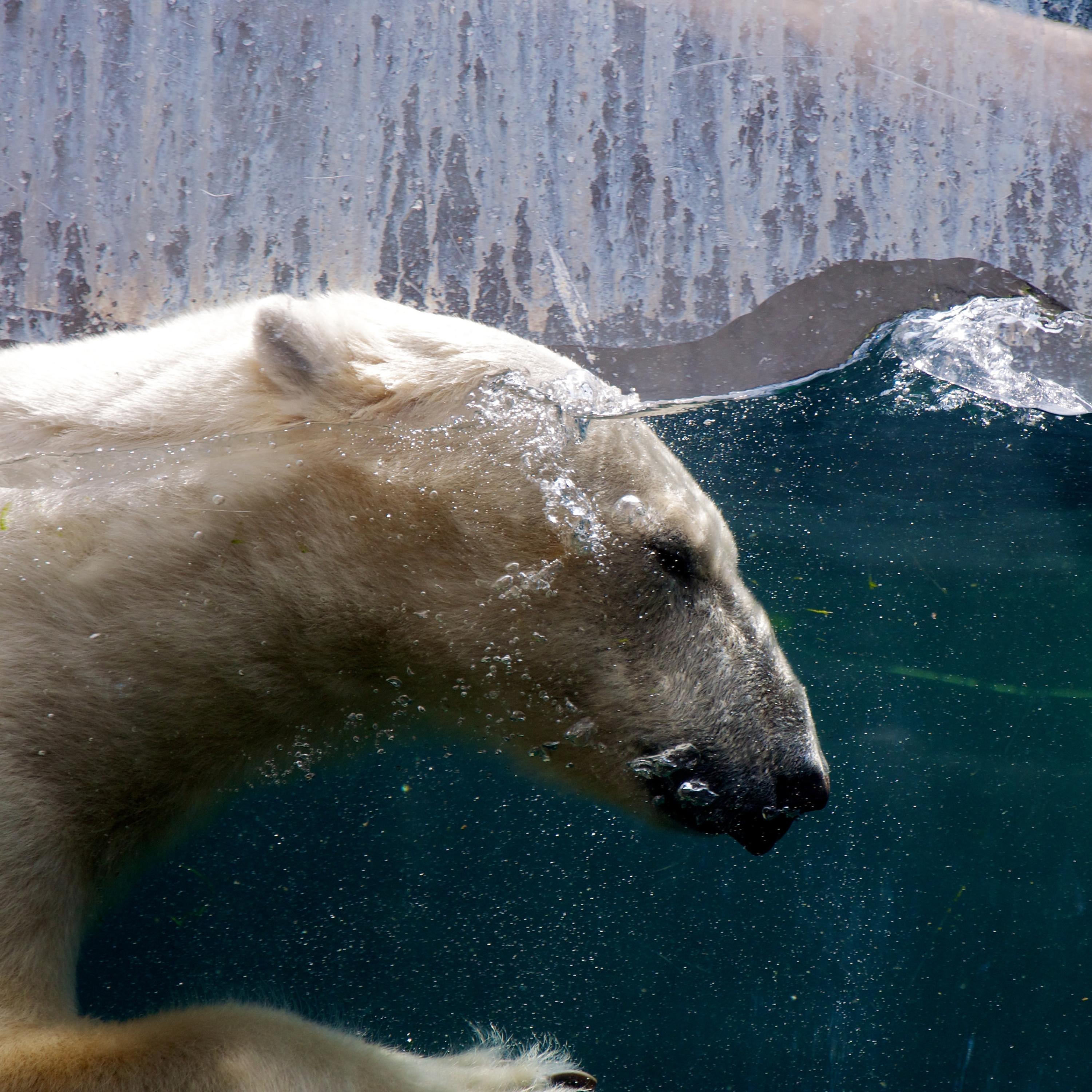 Equinox (feat. Enur)