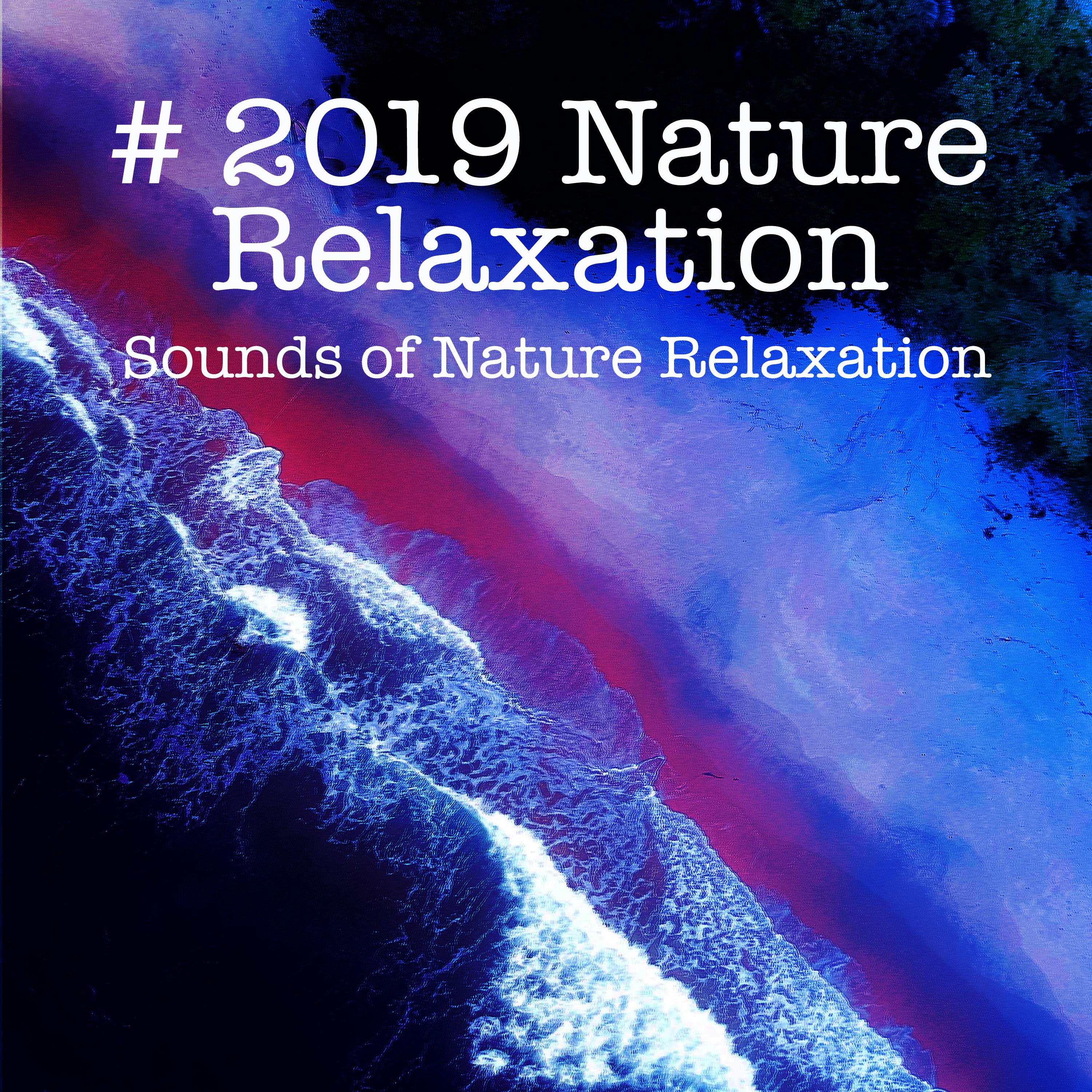 clattering rain on branches - sounds of nature relaxation - 单曲