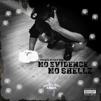 No Evidence No Shellz